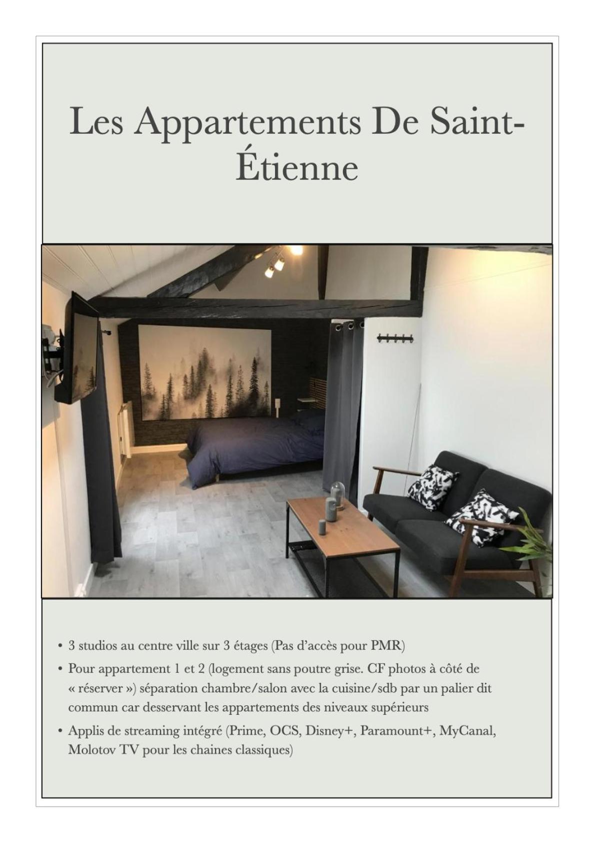 De St-etienne Apartment